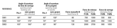 Schéma 5 + Sauterelle verticale 
à pied angulaire 